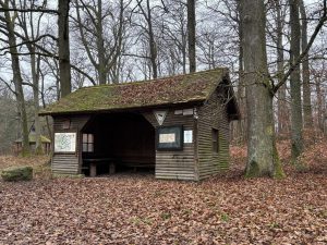 Der Strombergwald im Winter